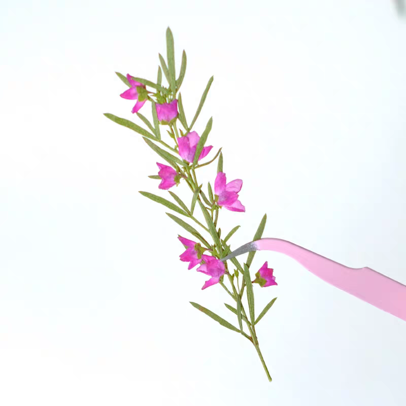 100pcs Pressed Dried Aidia Can - Dried Flower Bookmark review and price