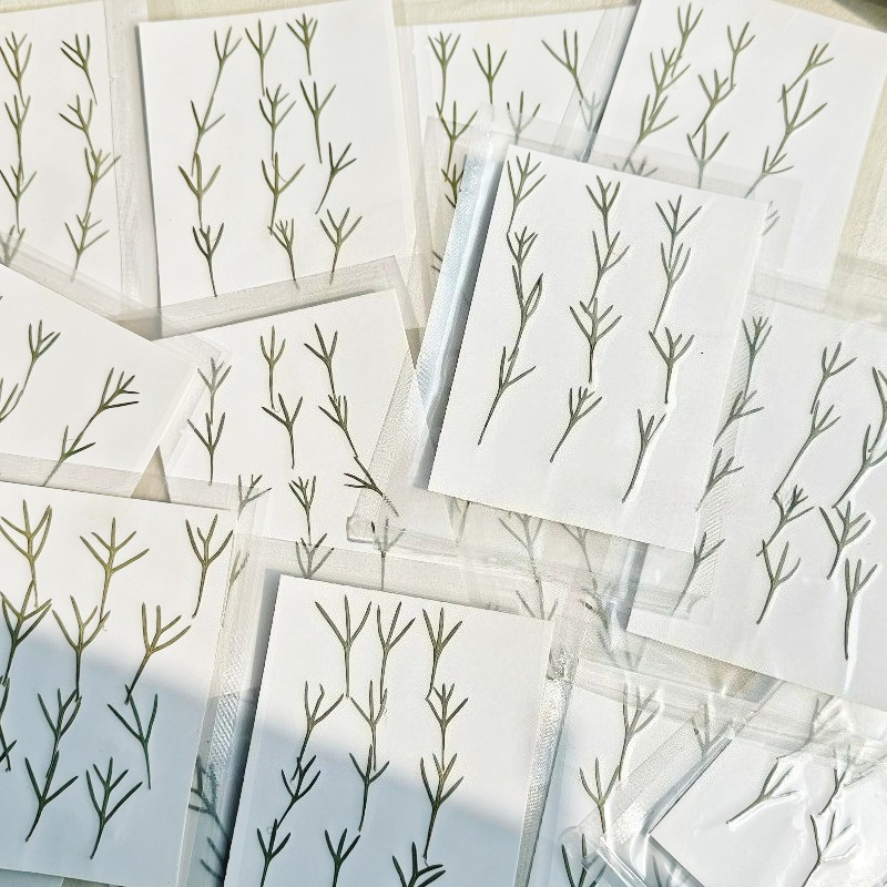 24pcs,Real Pressed Achillea Le - Dried Flower Bookmark review and price