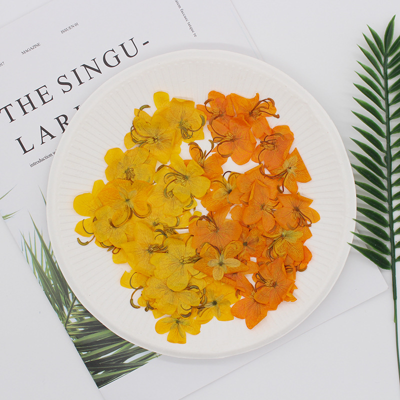60pcs Dried Pressed Yellow/Ora - Dried Flower Bookmark review and price